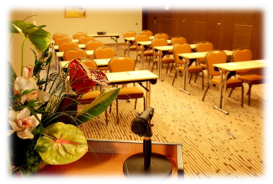 Ramada Sibiu9